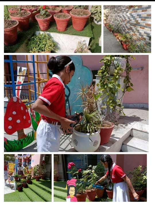 Mamta Public School 24