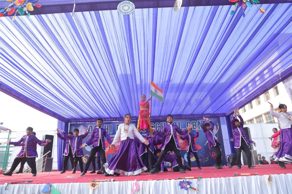 Delhi Public School 17
