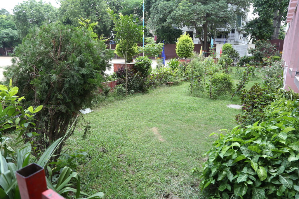 Hemnani Public School 10