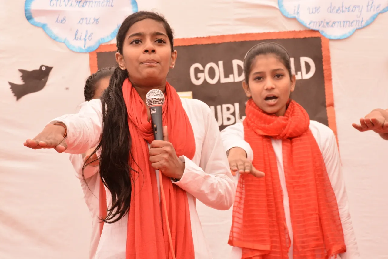 Gold Field Public School 3
