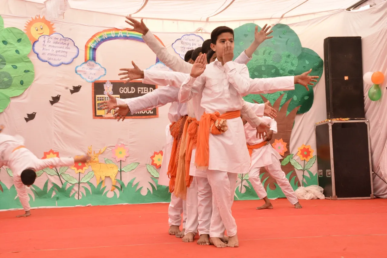 Gold Field Public School 5
