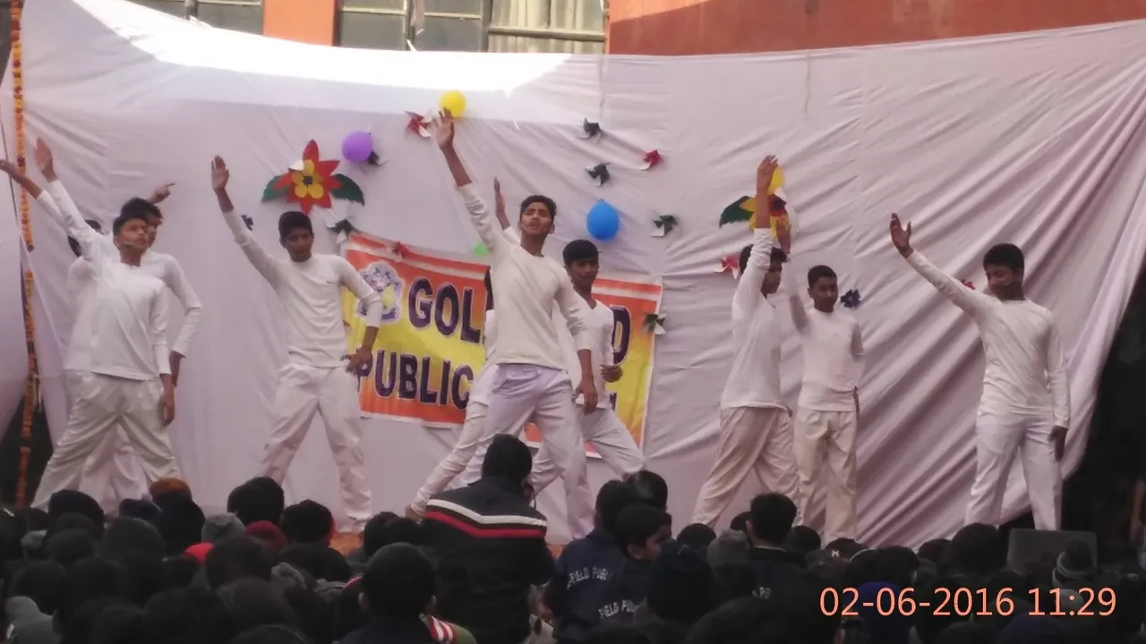 Gold Field Public School 19