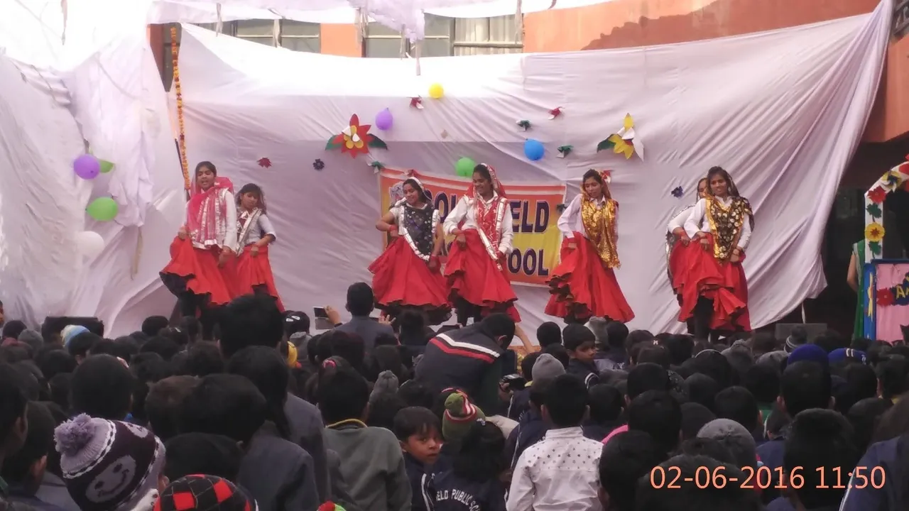 Gold Field Public School 20