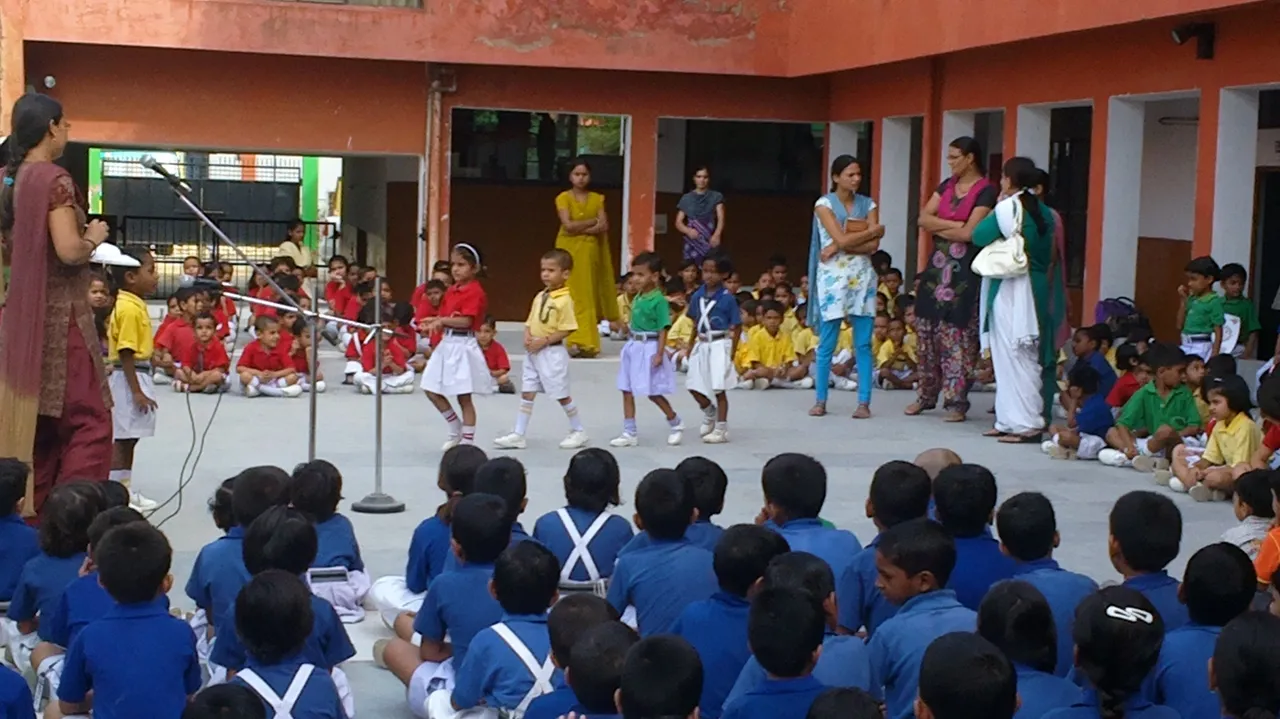 Gold Field Public School 23