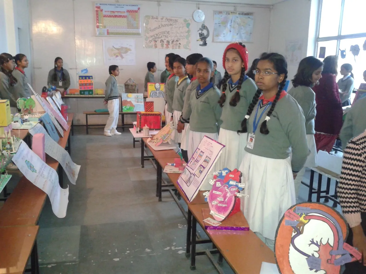 Gold Field Public School 22