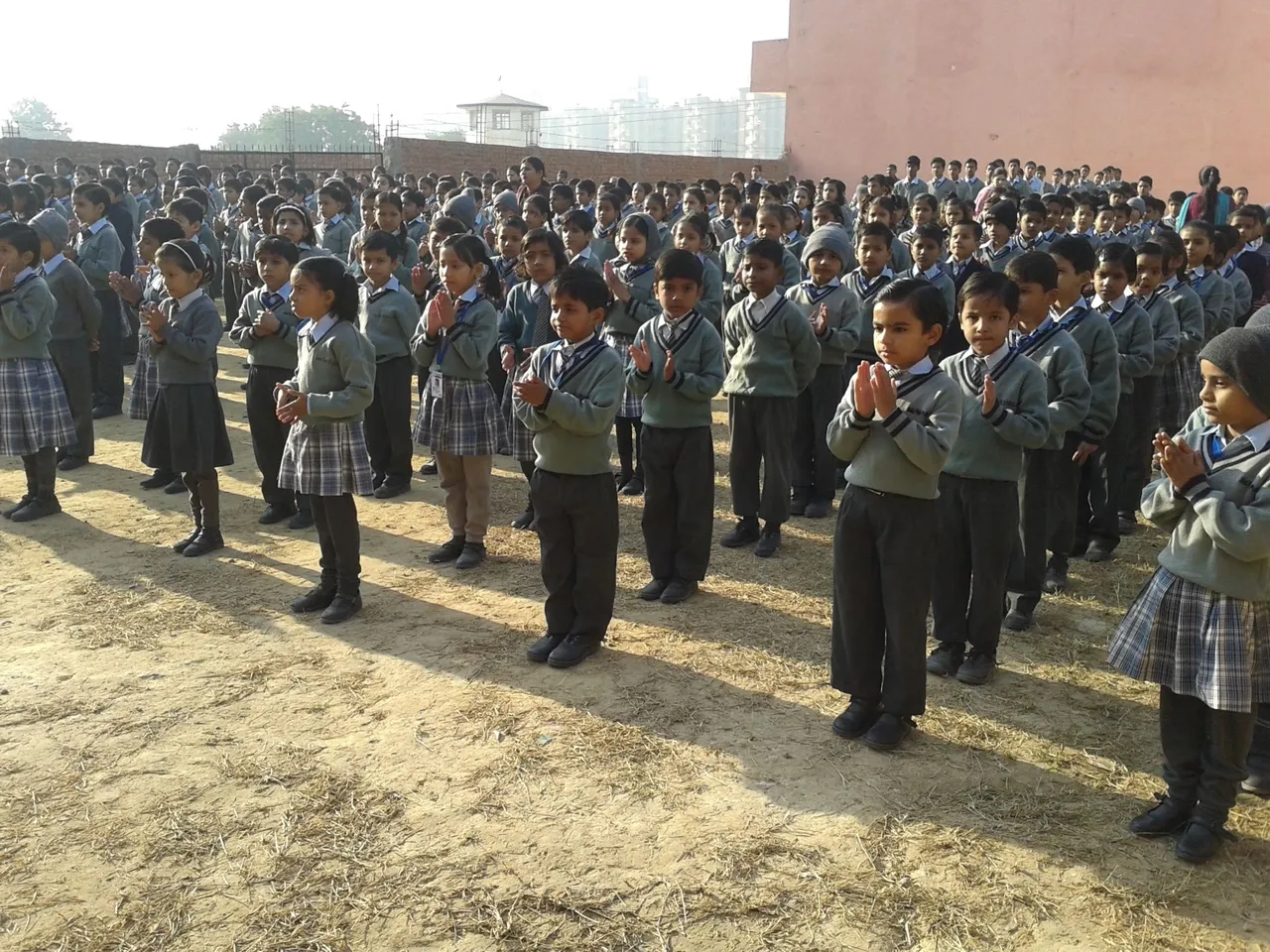 Gold Field Public School 24