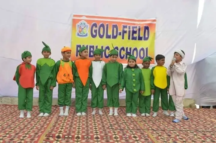 Gold Field Public School 25