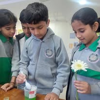 BLISS International School 2