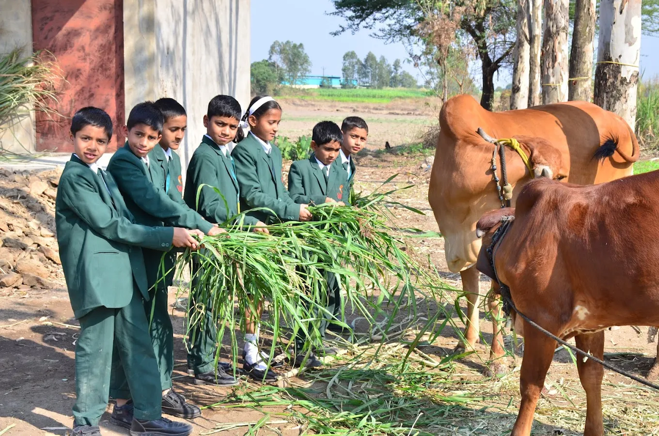 Chaitanya International School campus photo 4 of 12 — Induri