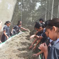 Crimson Anisha Global School campus 6