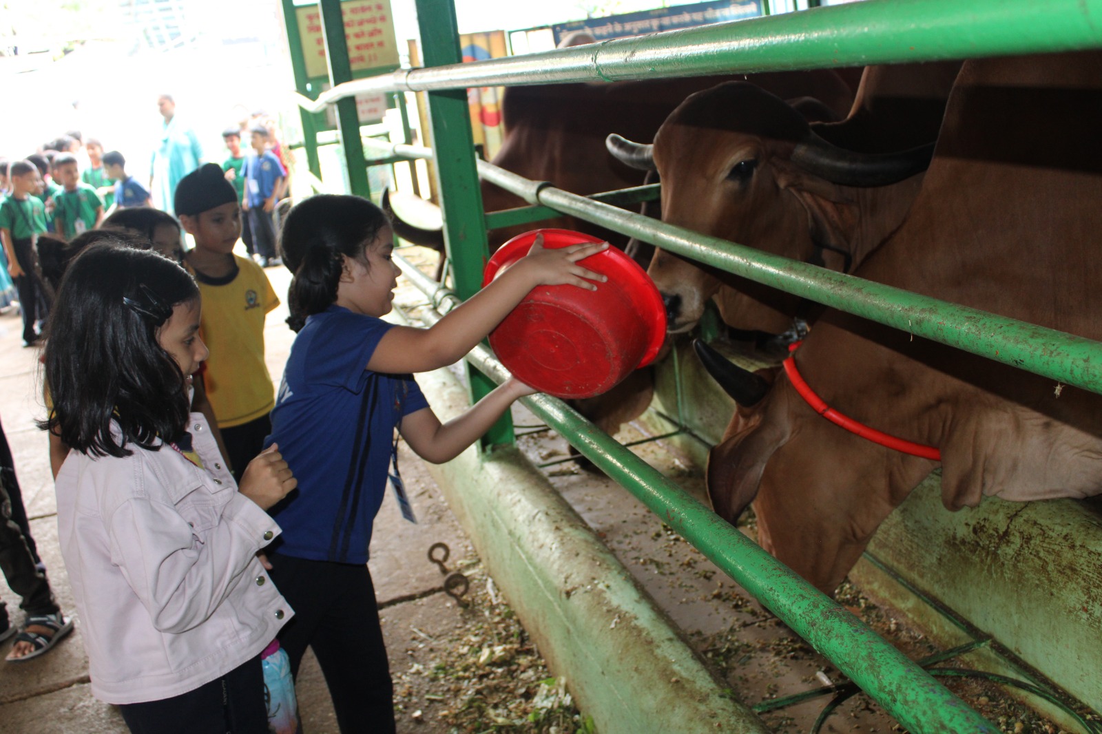 Darshan Academy campus photo 19 of 19 — Pimpri Chinchwad