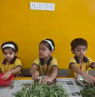 DSK School 4