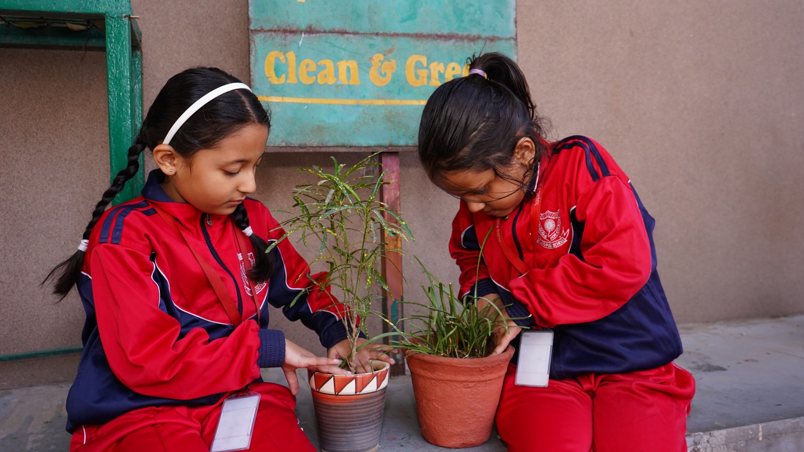 Plato Public School 8