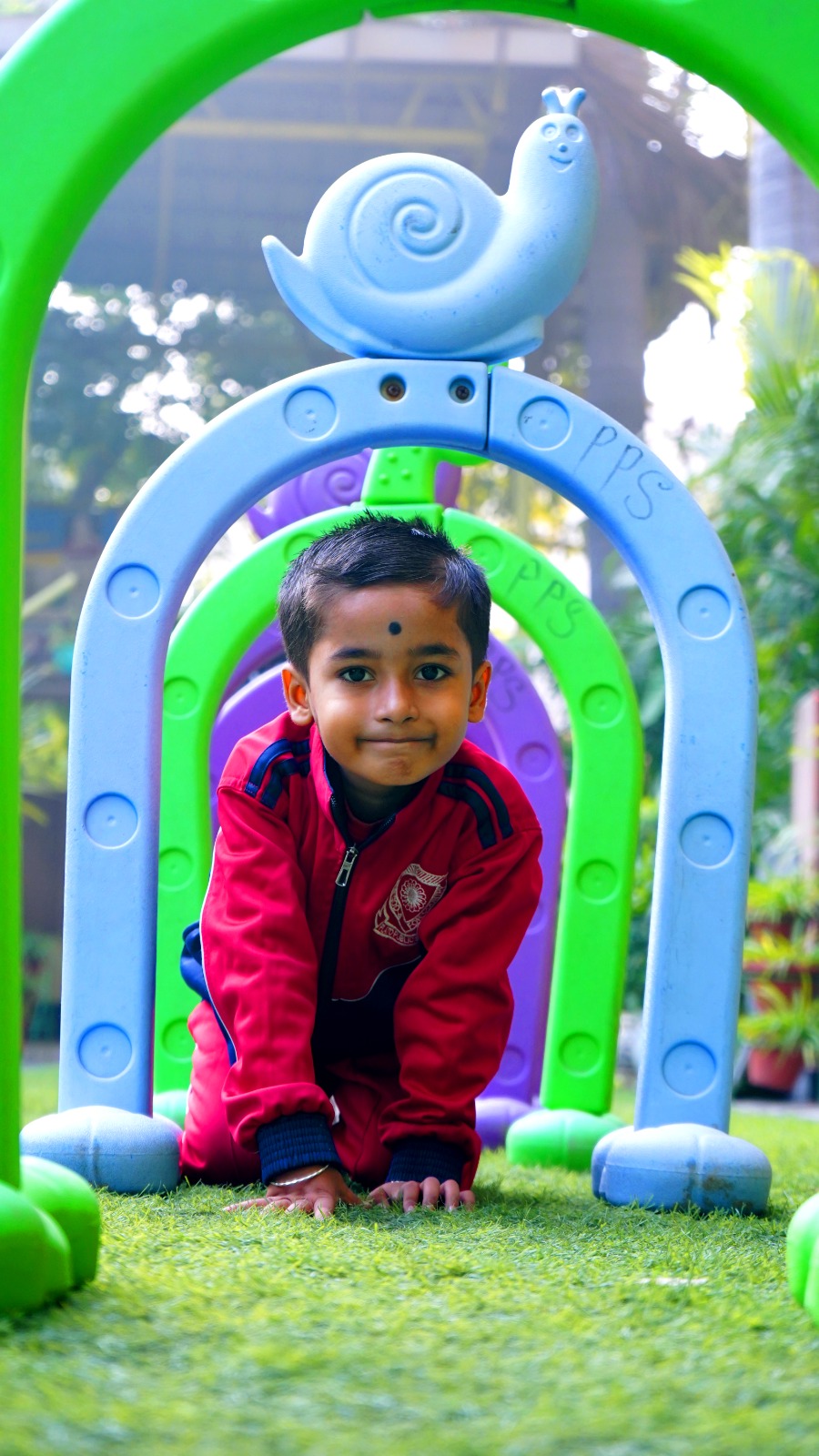 Plato Public School 12