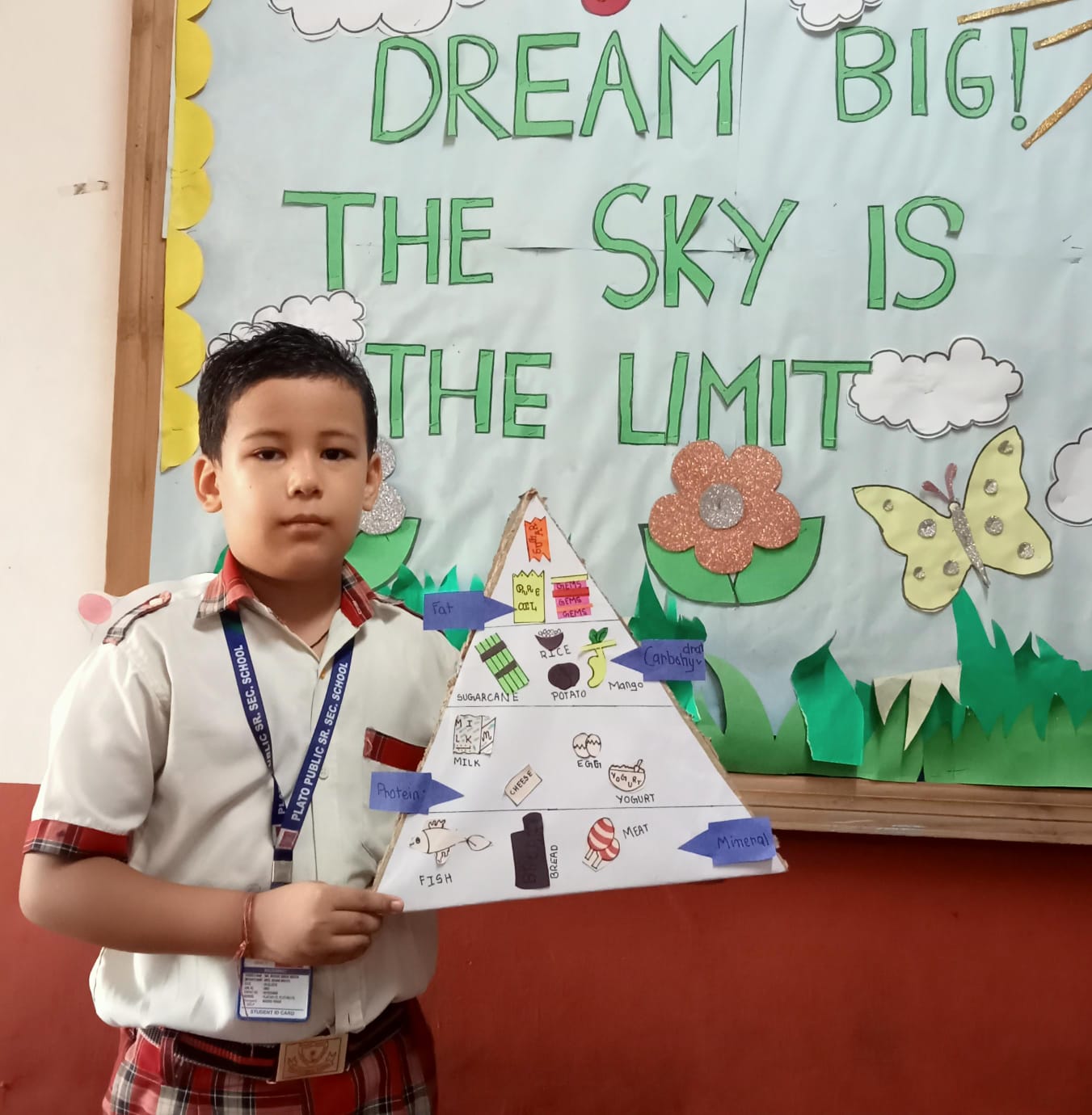 Plato Public School 28
