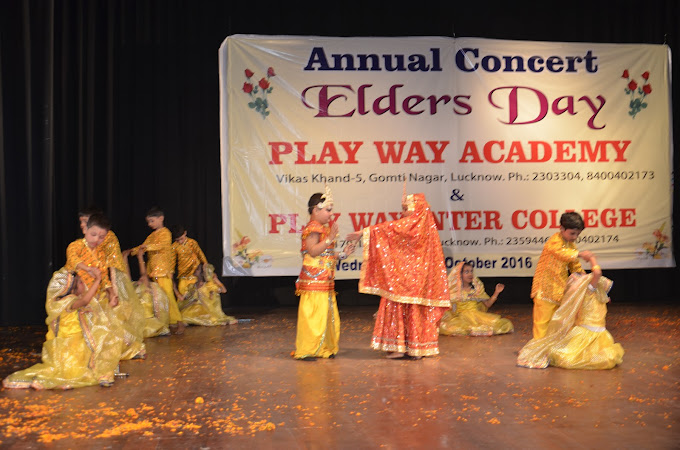 Play Way Academy 9