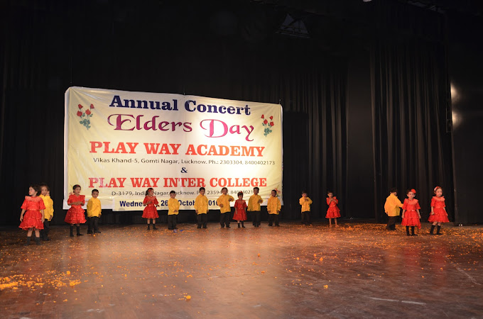 Play Way Academy 11