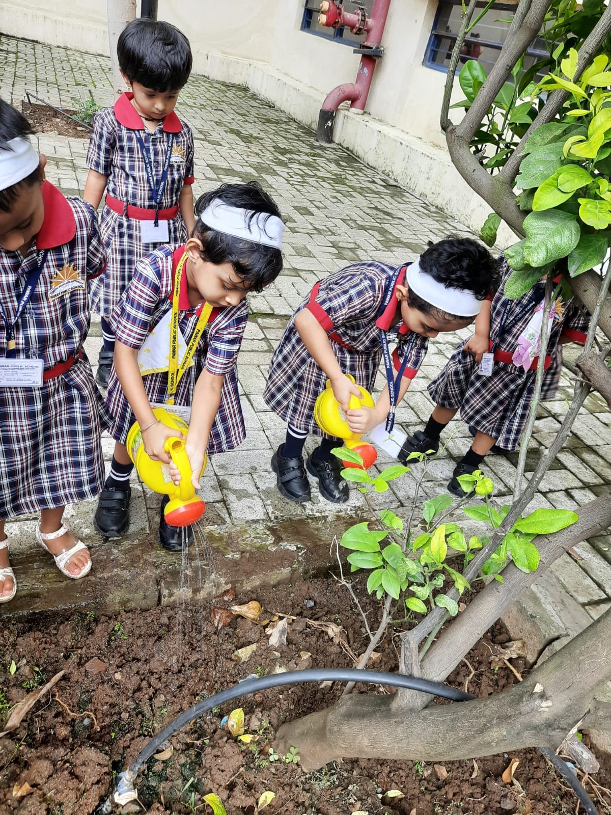Pawar Public School 2