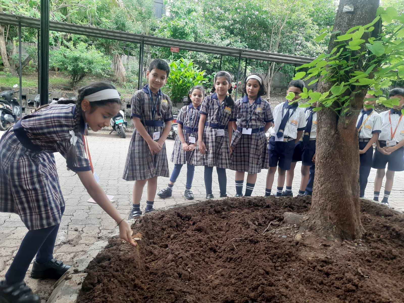 Pawar Public School 4