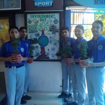 Pearl Drop School 6