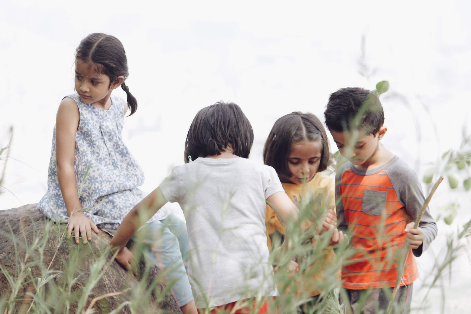 Swadhaa Waldorf Learning Center 4