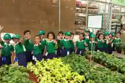 The Orbis School 2
