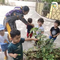 The Wonder School 10