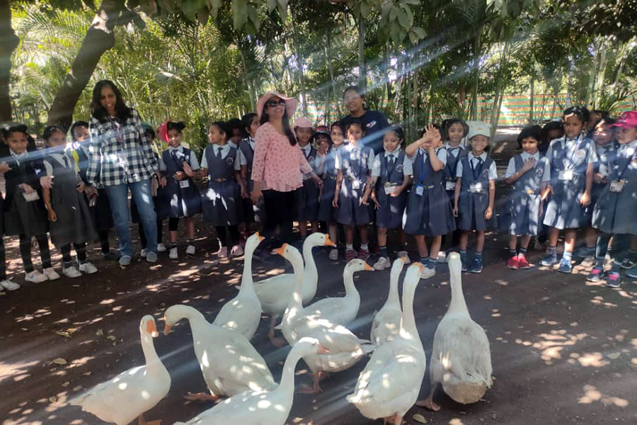 Vidya Pratishthan’s Magarpatta City Public School 2