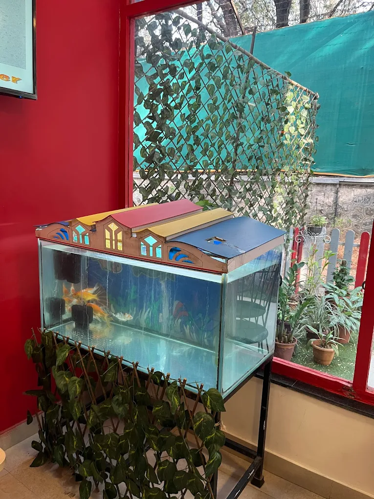 Vivero International Pre-school And Child Care 3