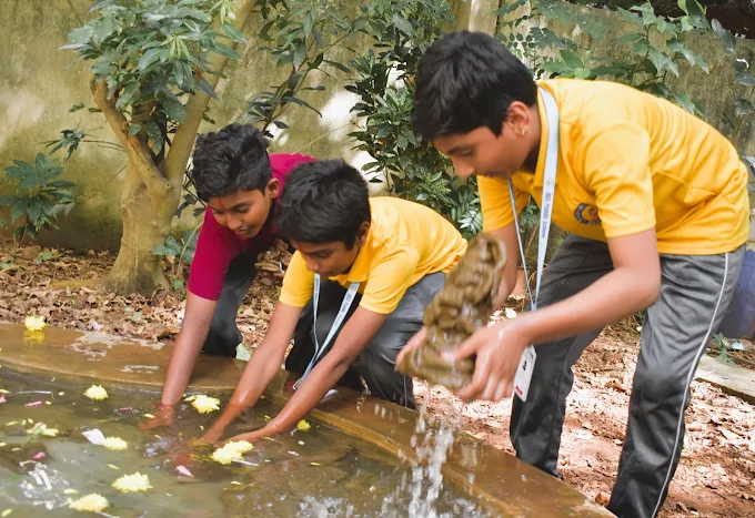 BGS Public School 3