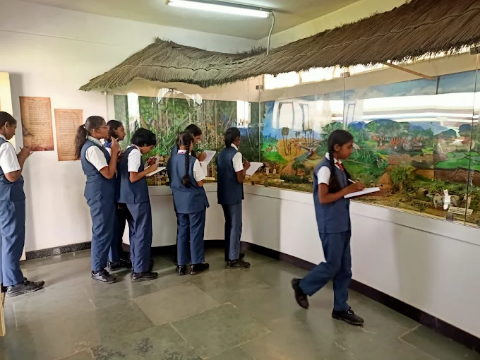 BGS Public School 6
