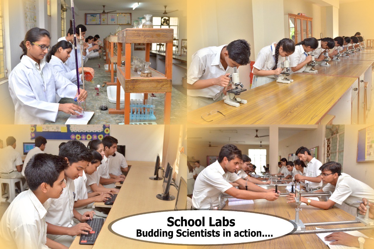 Shanti Gyan Niketan Senior Secondary Public School 17