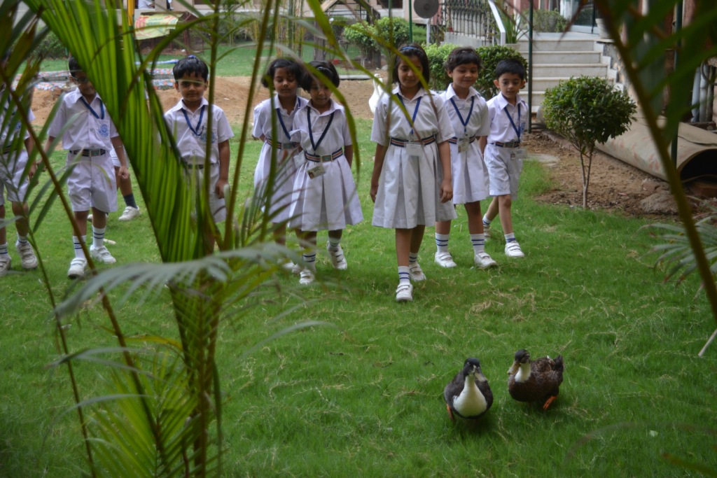 M.L. Khanna DAV Public School 4