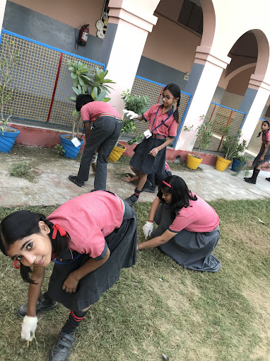 Sunrise Public School campus photo 7 of 28 — Tajpur Khurd
