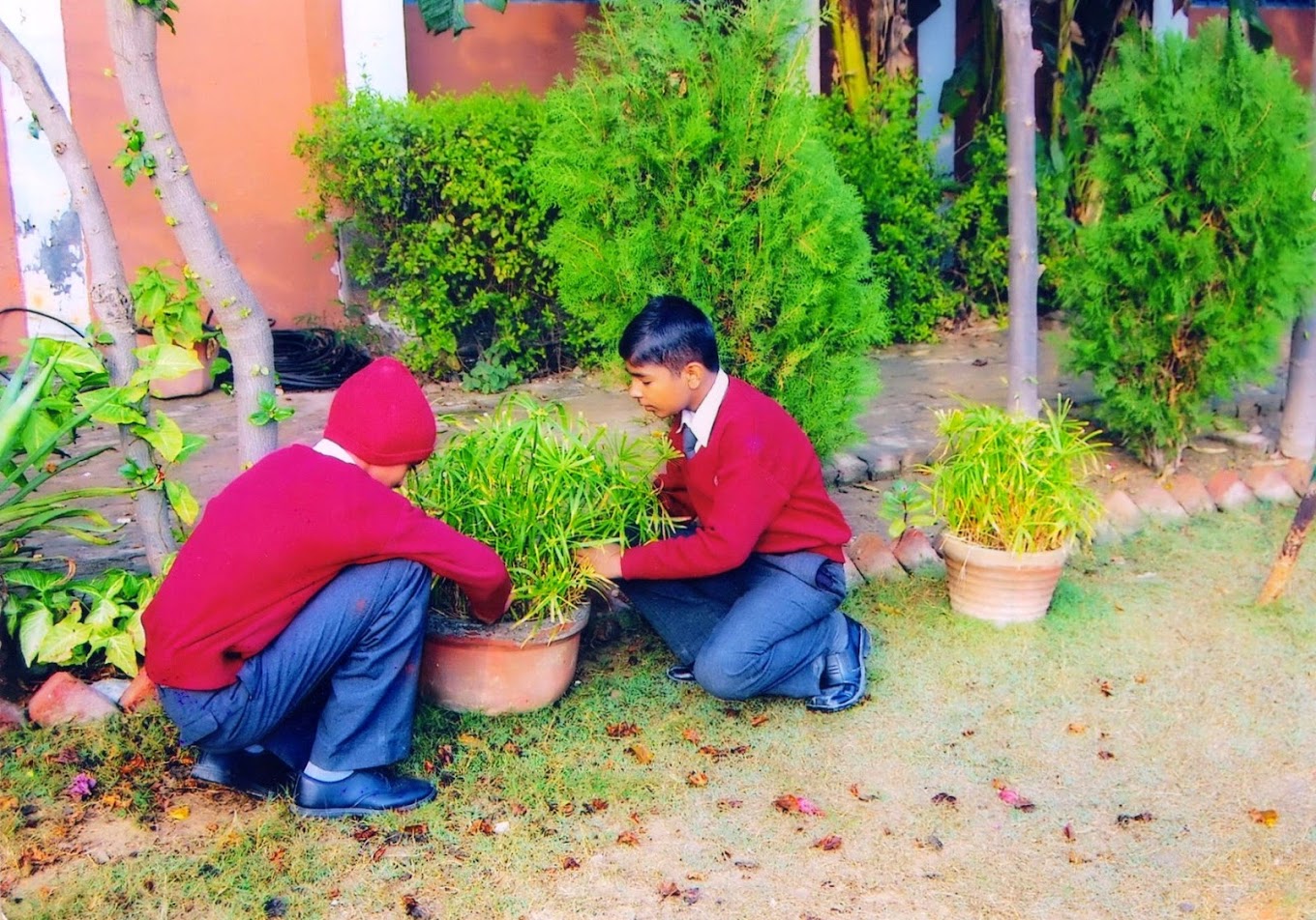 Arya Kumar Convent School gallery 10