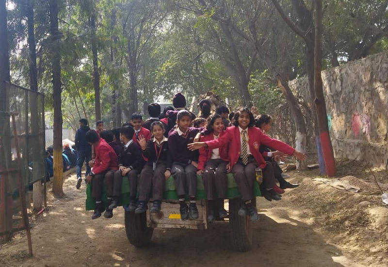Sanskar Convent School campus 5