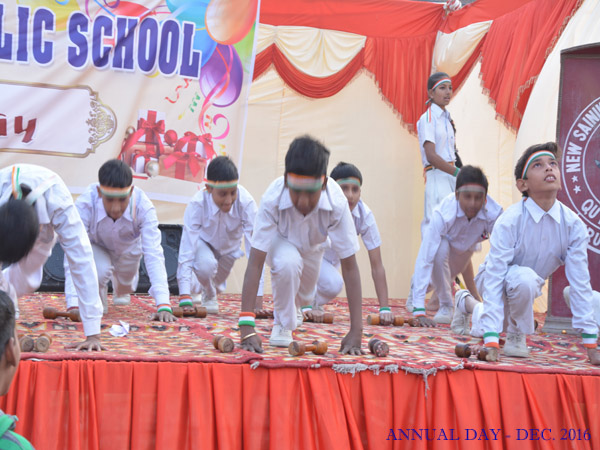 New Sainik Senior Secondary Public School campus 6