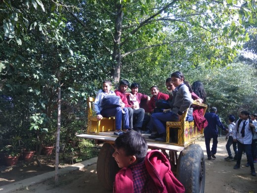Vidya Niketan Public School 4