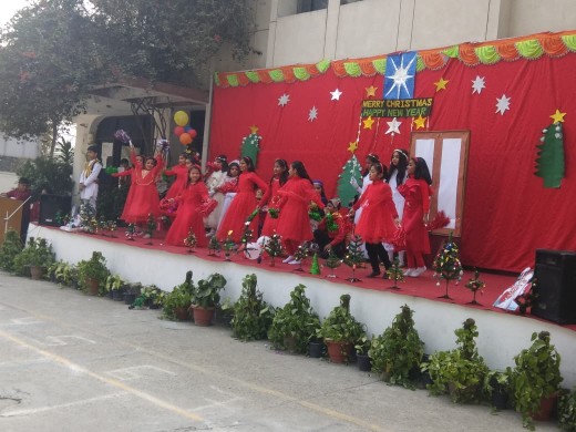 Vidya Niketan Public School 3