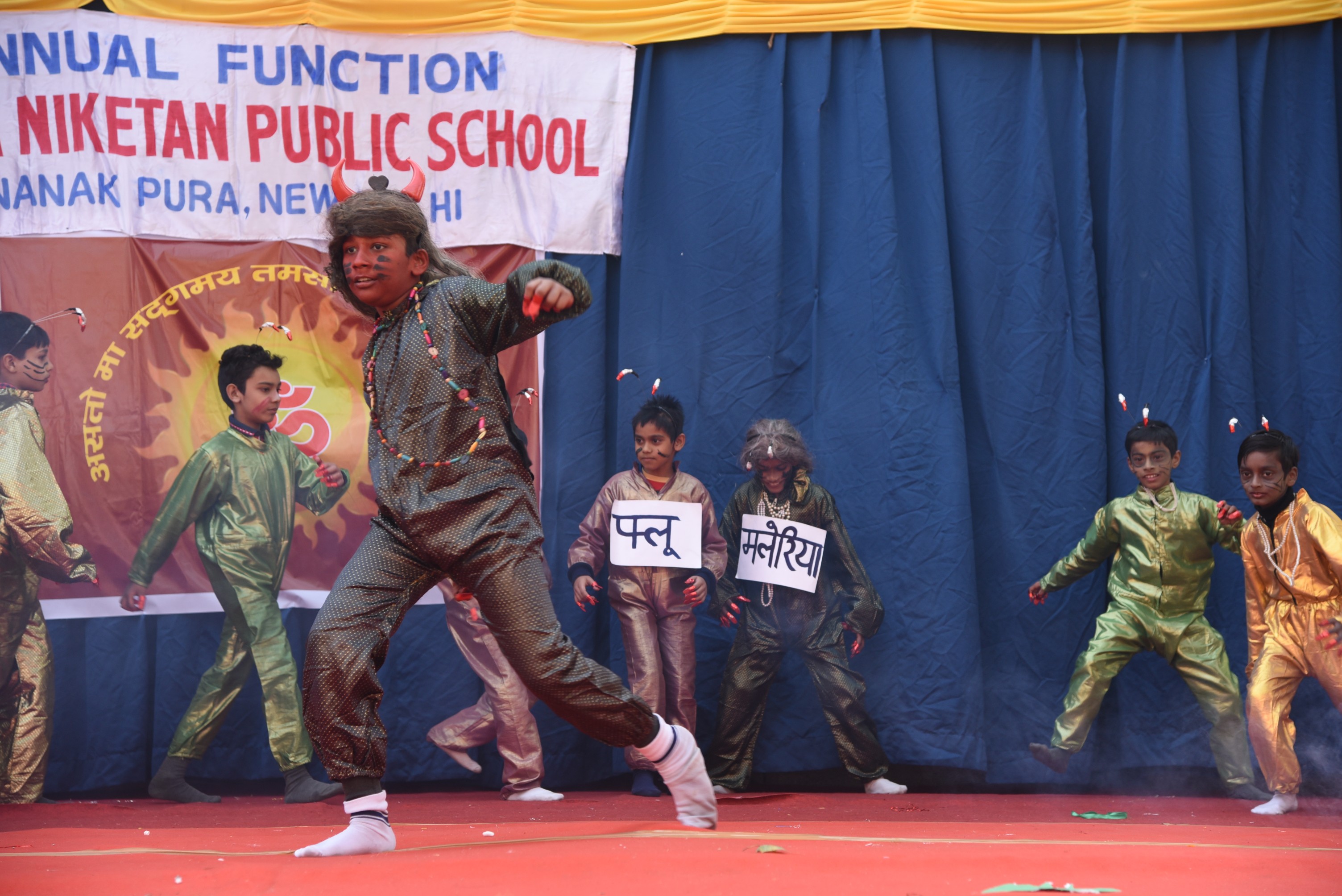 Vidya Niketan Public School 14
