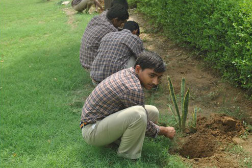 Jiwan Jyoti Senior Secondary School campus 6