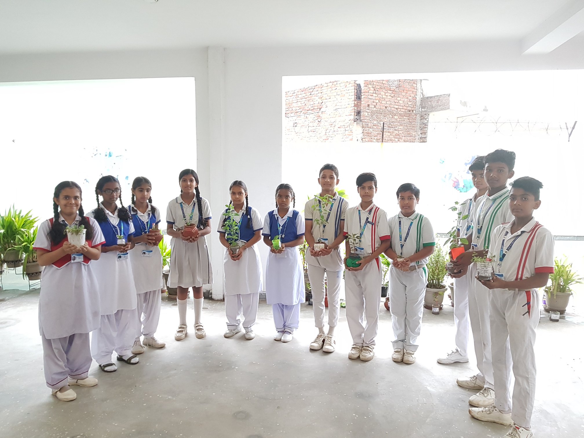 Lord Krishna Convent School campus 2