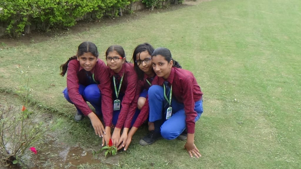 MD Senior Secondary School campus 3