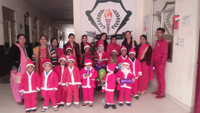 Aman Public School 7