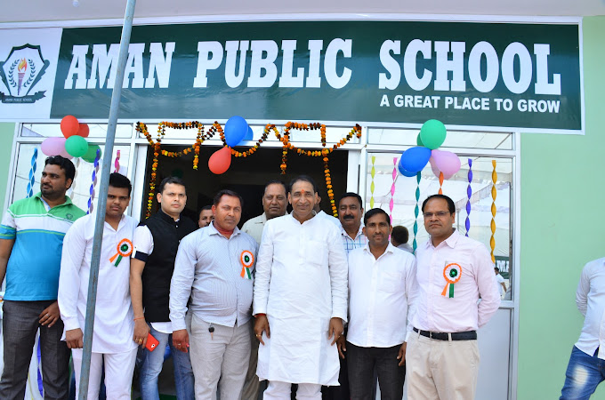 Aman Public School 8