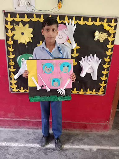 Brainiac Modern School 7