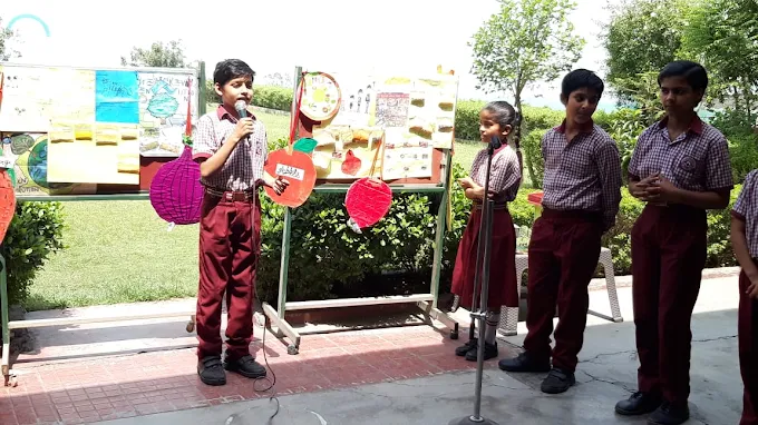Dreamland Public School 4