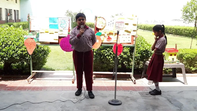 Dreamland Public School 6