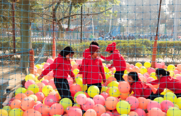 Dreamland Public School 20