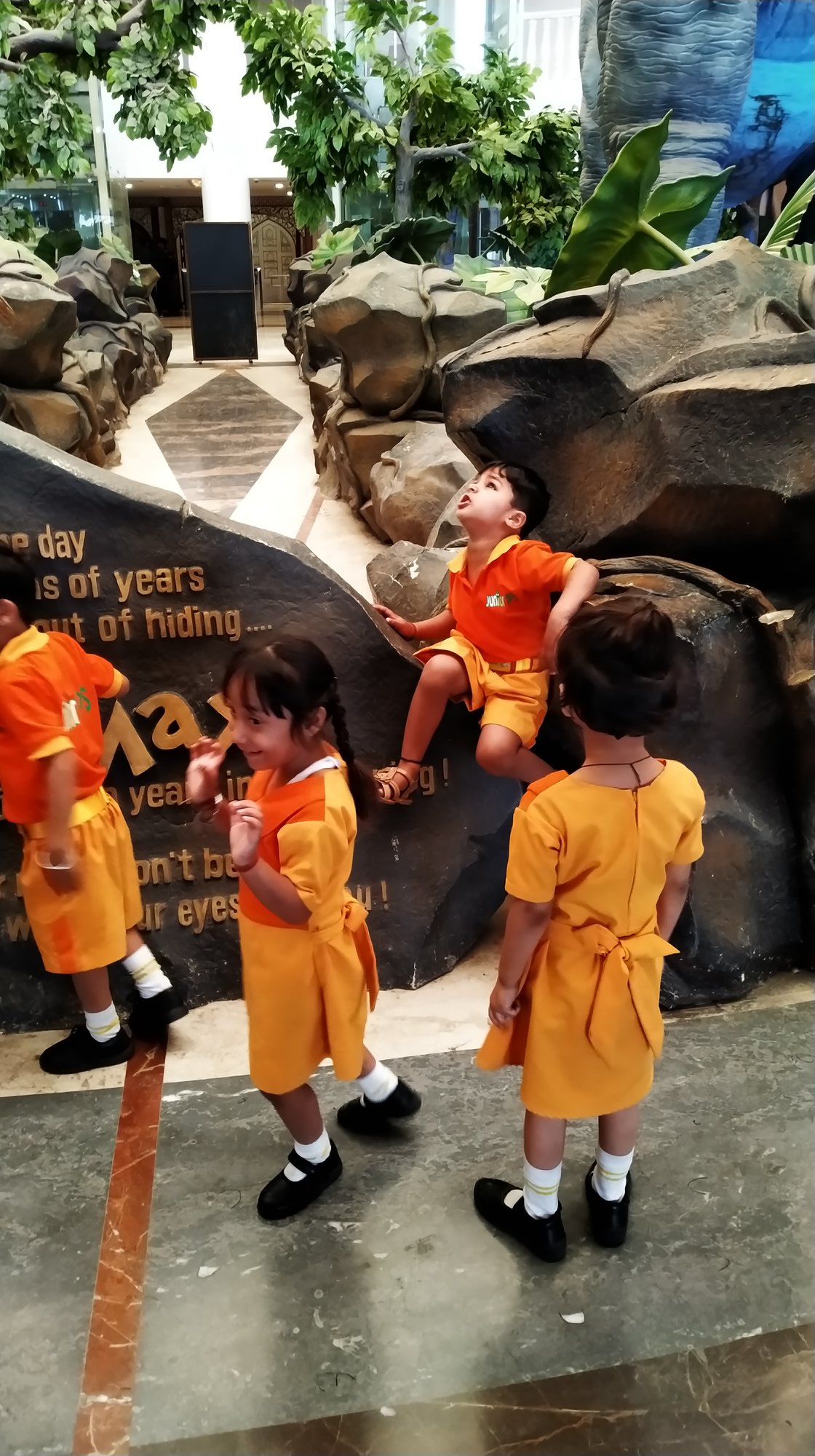Junior DPS 9